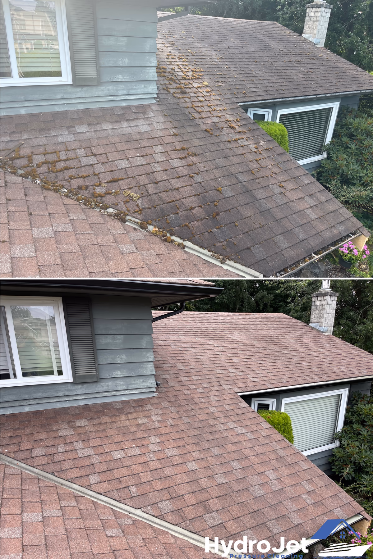 Before-and-after comparison of roof moss care completed by HydroJet